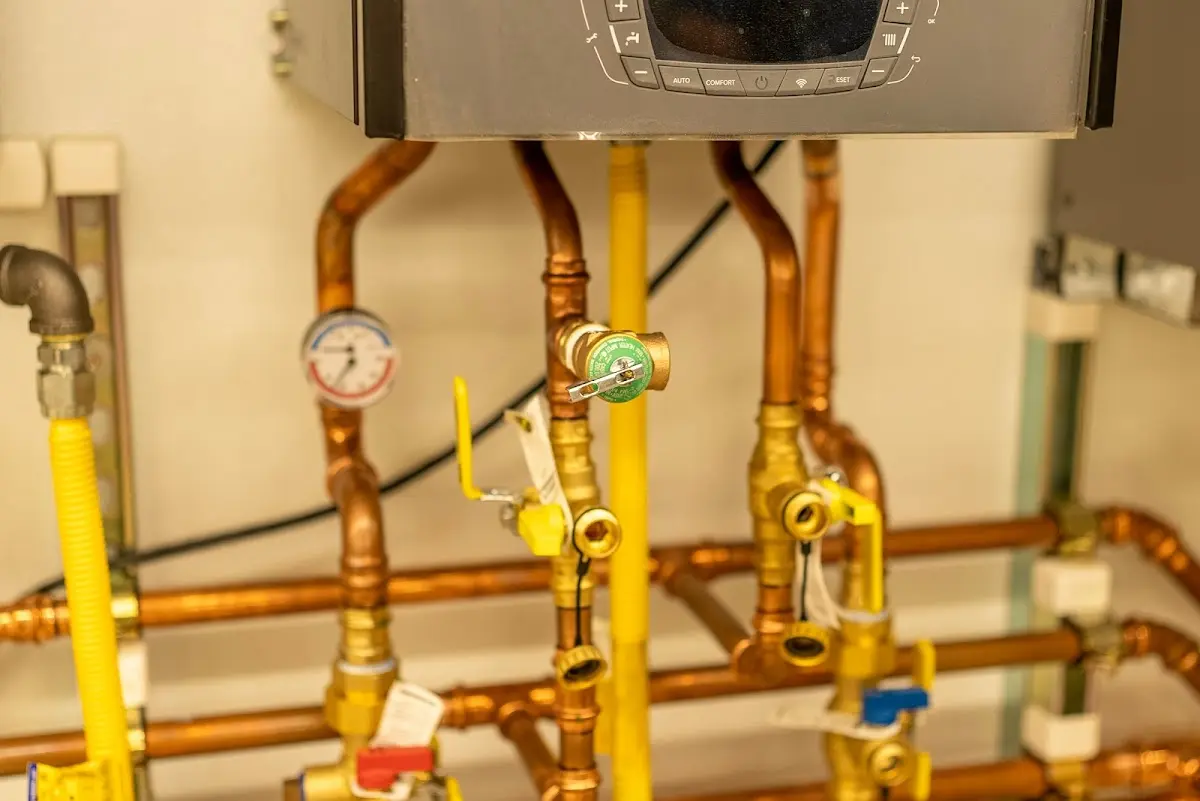 Licensed technician providing Emergency Plumbing for a homeowner in Belville